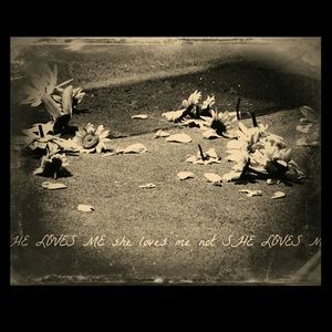 Discounts just ask * No PP Please