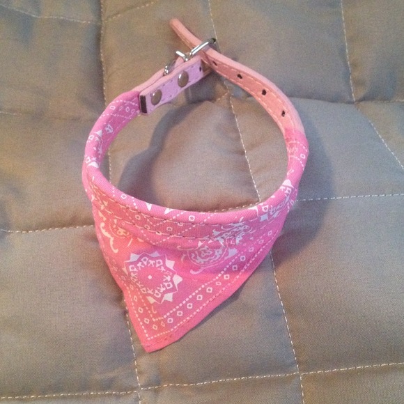 🐺Too Cute Bandana collar🎀