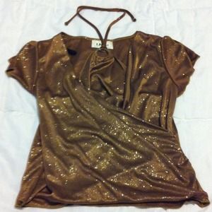 Shimmery Bronze Top