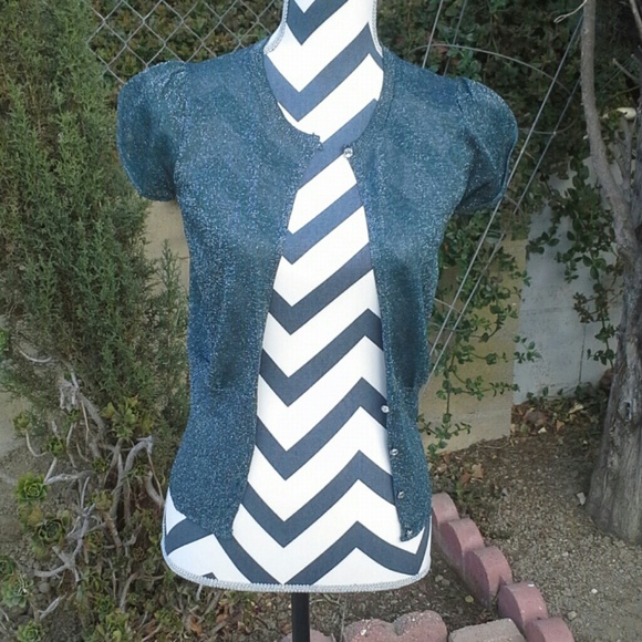 Halogen Tops - 3x HOST PICK Halogen Fancy Cardigan NWOT