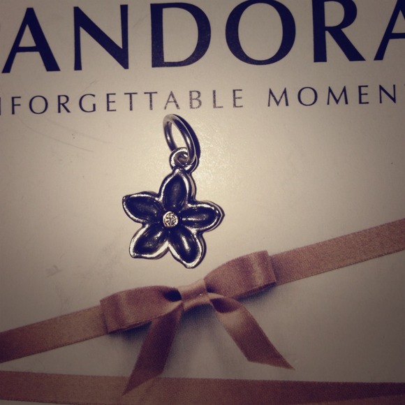 Pandora charm