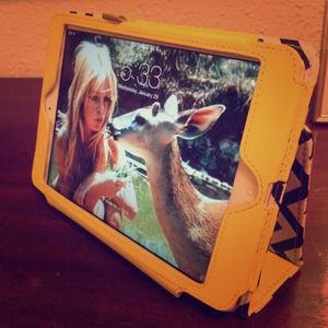 🚫sold🚫IN BUNDLE Zig Zag Case For iPad Mini