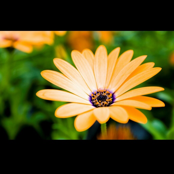 Wallet for @brittaub