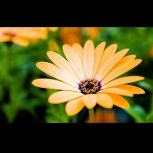 Wallet for @brittaub