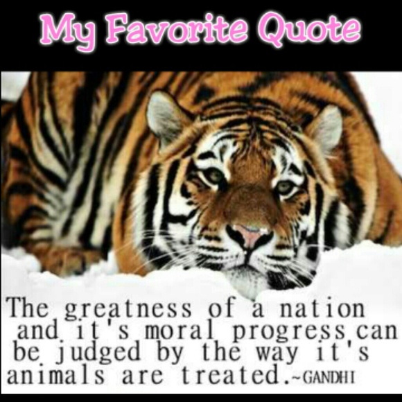 Favorite  Quote