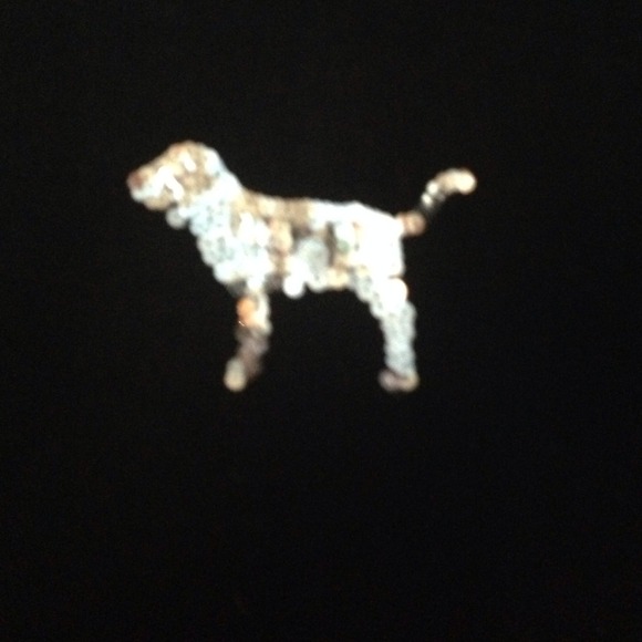 ❤️❤️NWT💛SOLD‼️ bling hoodie from VS❤️SOLD - Picture 3 of 4