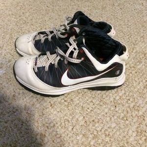 Lebron nike shoes