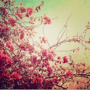 Bundle for @lbundy89