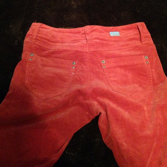Adorable Coral smooth corduroy skinny pants - Picture 4 of 4
