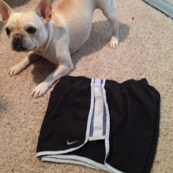 💥💥💥SOLD AS BuNDLEWmns Tempo Short - Picture 2 of 2