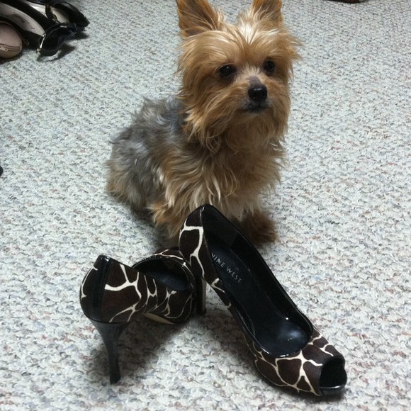 Nine west classy shoes