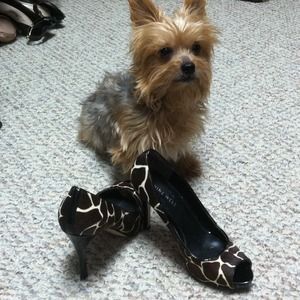 Nine west classy shoes