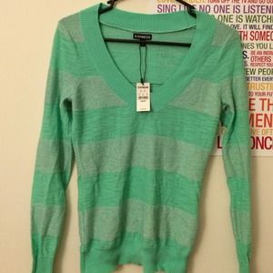 NWT Express Mint Sweater