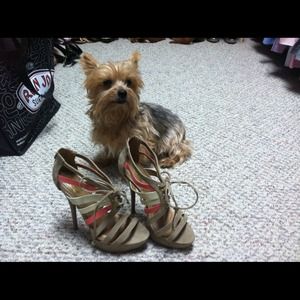 Im 5.5 and this shoes are 6 little big for me