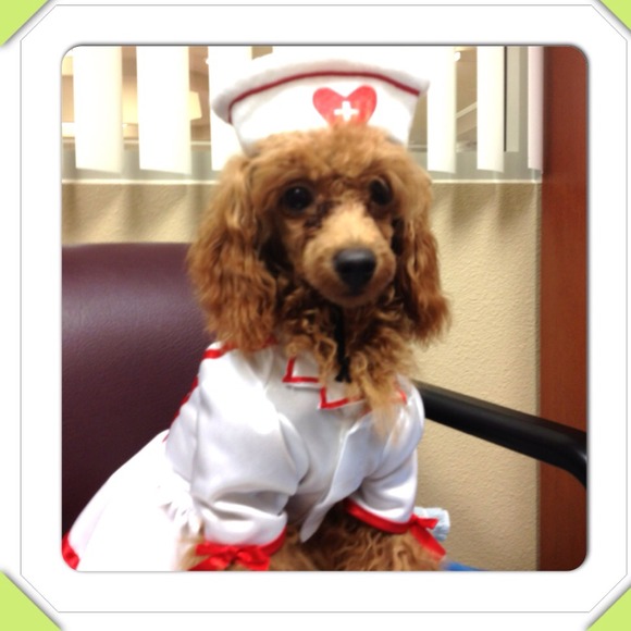 💕💕My baby Lulu Now and When a Baby💕💕 - Picture 5 of 7