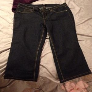 Size 22 jean capris . Never worn.