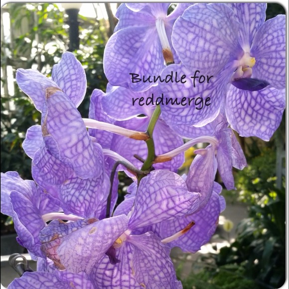 Jewelry - Bundle special for @reddmerge