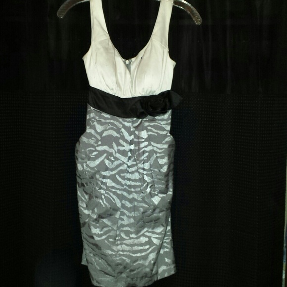 Zebra designed dress with rose! NEVER WORN!! - Picture 1 of 4