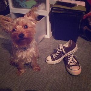 Converse All star brown sz7. worn a couple times.