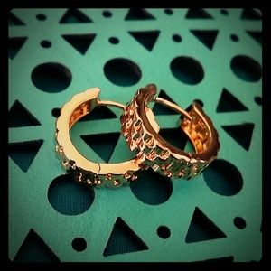 ♢♢Gifted♢♢Gold Filled Earrings NWOT