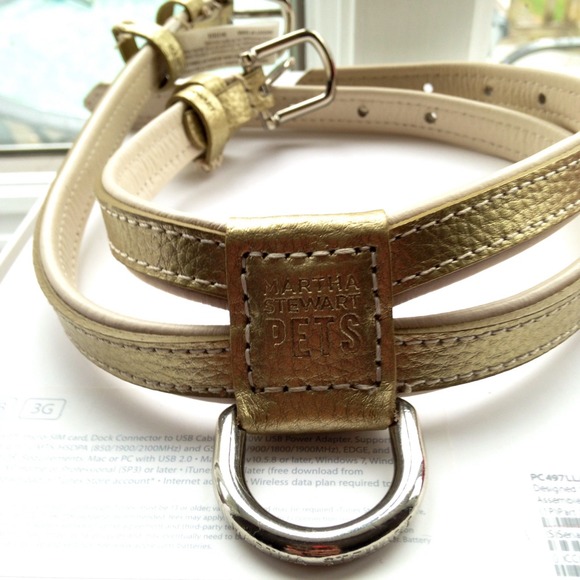 martha stewart dog harness