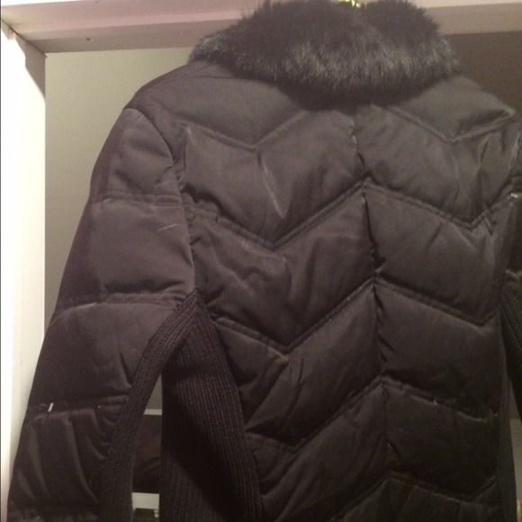 Bebe jacket - Picture 3 of 3