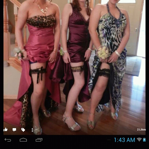 Pink & Leopard Prom Dress - Picture 3 of 3