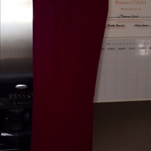 Express wide leg pants. Magenta color pants! Hot!