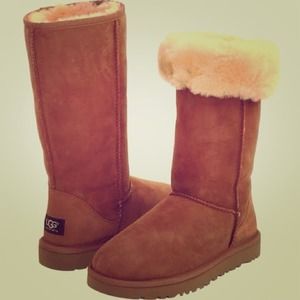 LOOKING FOR CLASSIC TALL CHESTNUT UGGS- Size 7