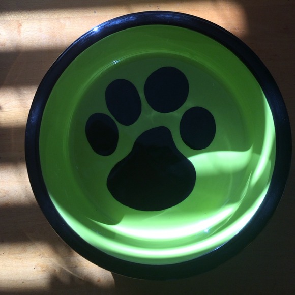 Lime green dog bowl