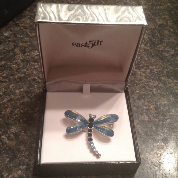 Beautiful dragonfly pin
