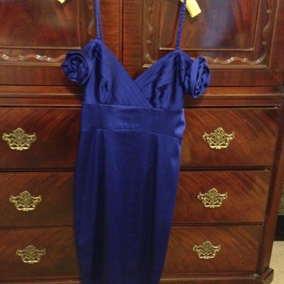 Blue Dereon cocktail dress rose cuffs