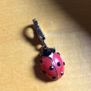 Juicy Lady bug Charm 🐞