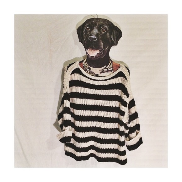 🔻Sale🔻Ann Taylor sweater!