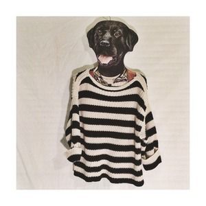 🔻Sale🔻Ann Taylor sweater!