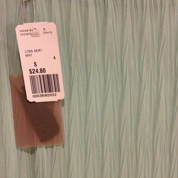 Mint Long Maxi Skirt - Picture 4 of 4