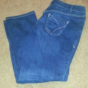 Nice Lane Bryant jeans