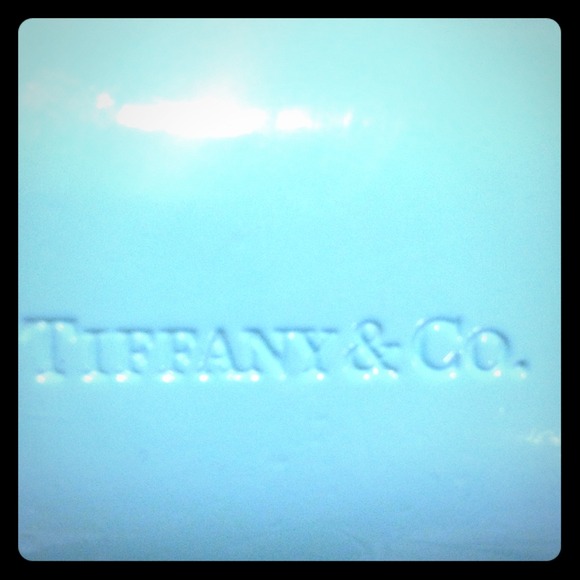 Tiffany & Co. glasses and case✨