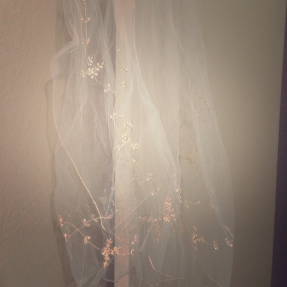 David's bridal Accessories - Veil with vine motif.