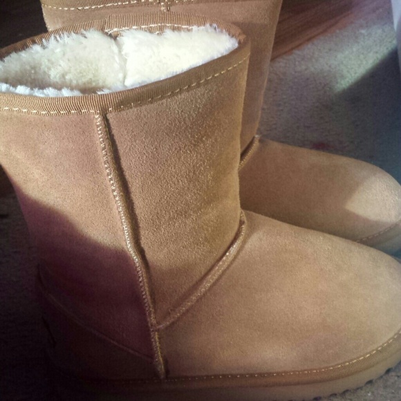 Chesnut Short UGG boots - Picture 2 of 4