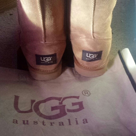 Chesnut Short UGG boots - Picture 3 of 4