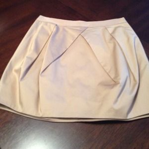 J Crew Skirt