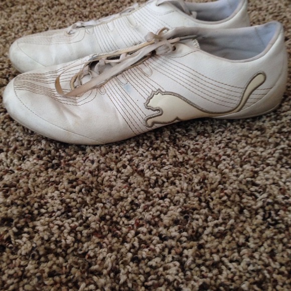 PUMA's