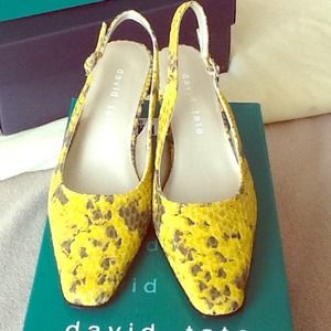 David Tate Shoes