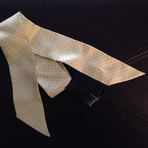 ✨JUST REDUCED✨BCBG 100% Silk Scarf