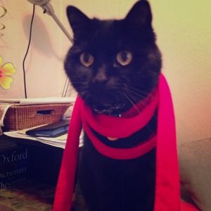 Francis says bundle for savings!