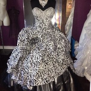 Zebra print Quince/prom dress!
