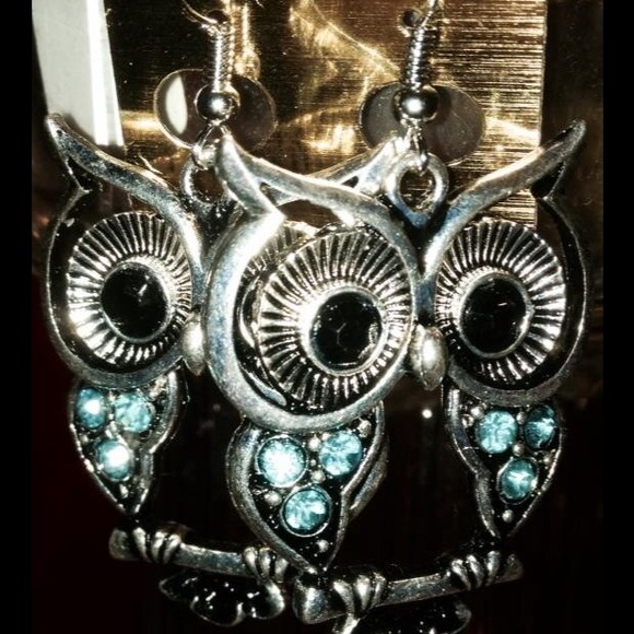Owl Earrings