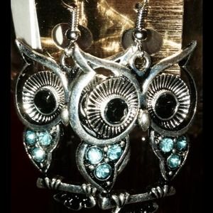 Owl Earrings