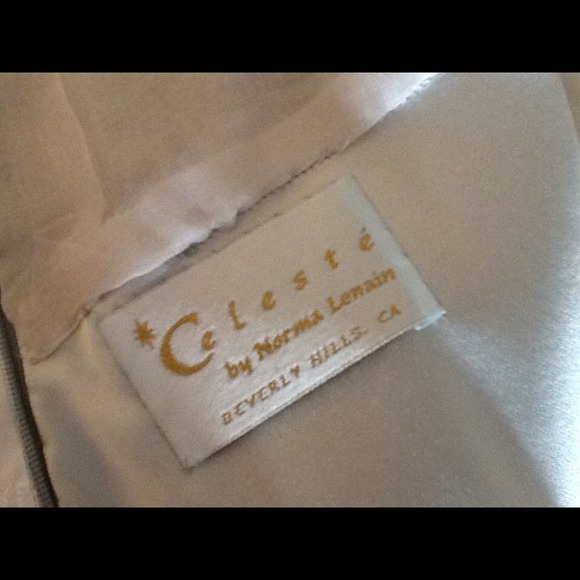 Celeste Couture Gorgeous Dress Norman LeNain Shawl - Picture 8 of 12